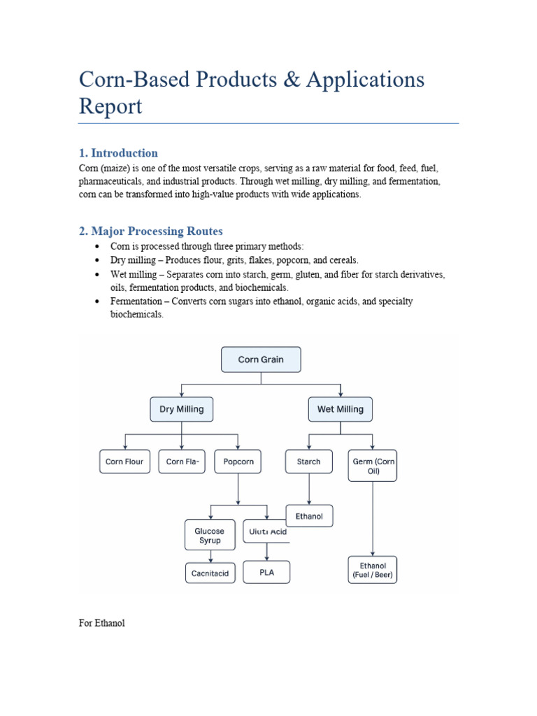 Corn Processing Report | PDF | Fermentation | Maize