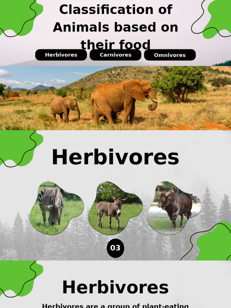 PPT - Energy Roles PowerPoint Presentation, free download - ID:2638153, image size:768x1024