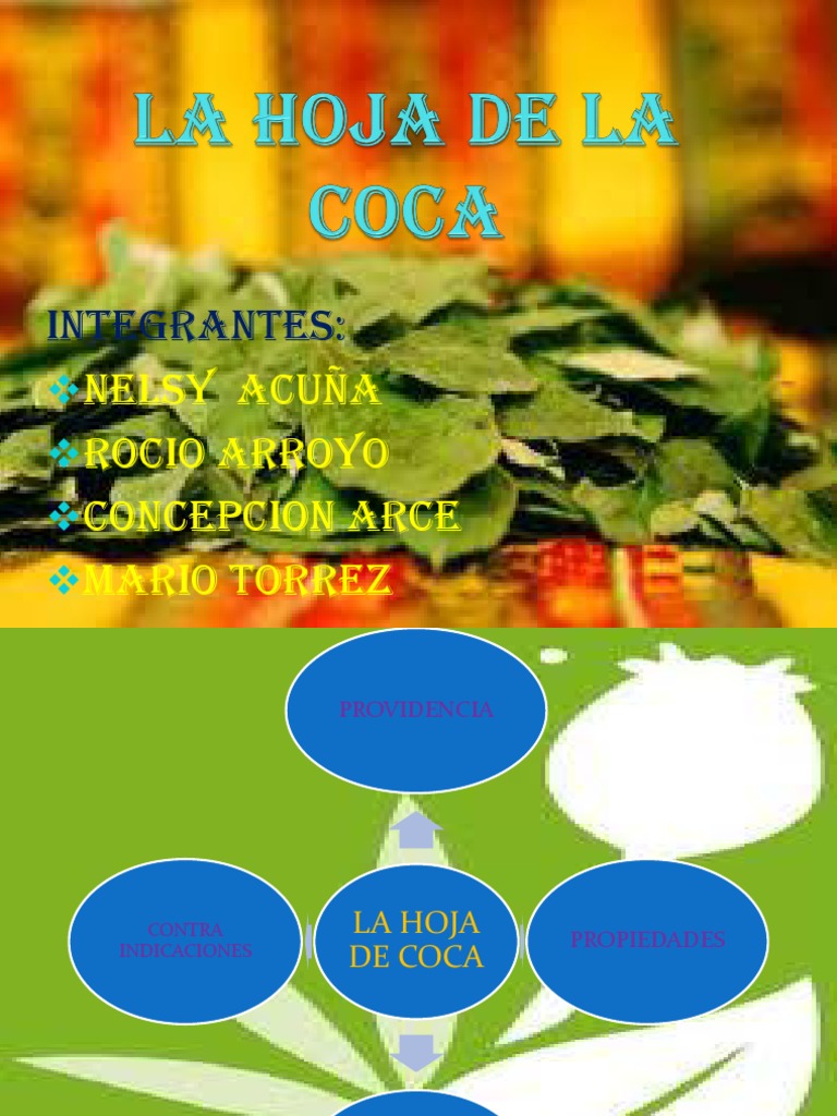 La Hoja de La Coca PDF Nutrición Dieta y nutrición