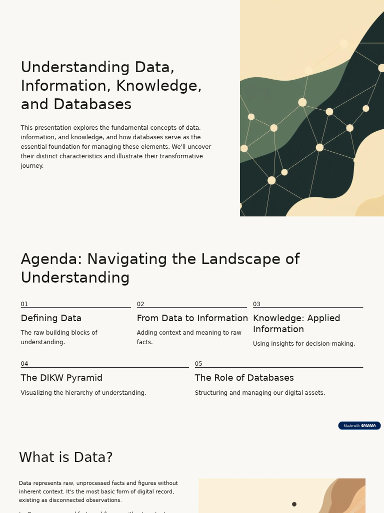 Data, Information, Knowledge & Databases | PDF | Data | Information