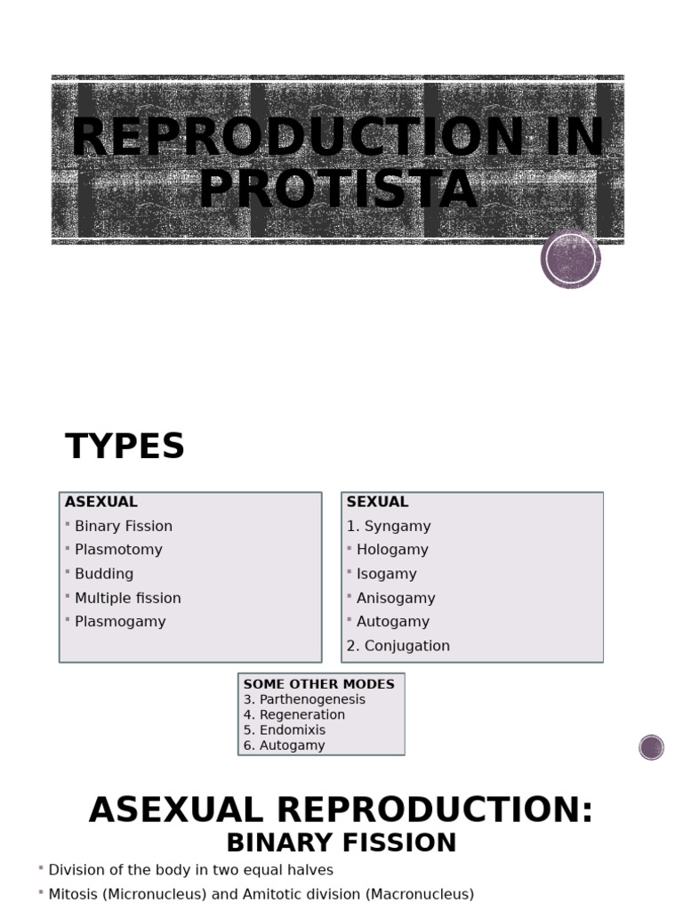 Reproduction Types in Protista | PDF | Reproduction | Mitosis