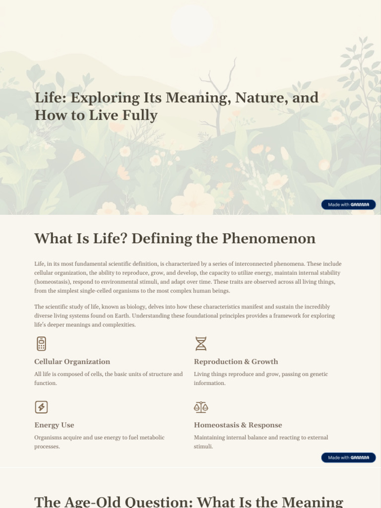 Understanding Life's Meaning and Purpose | PDF | Life | Wisdom
