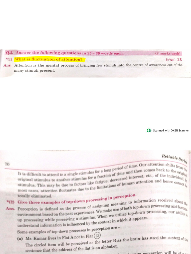 Chapter 4 Cognitive Processes 12th Psy Pdf