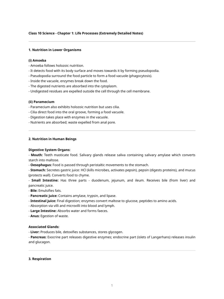 Class 10 Science: Life Processes Notes | PDF | Digestion | Pancreas
