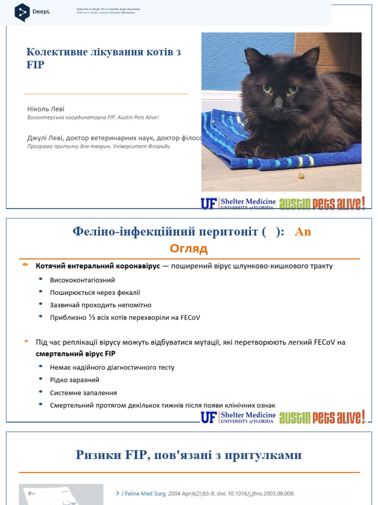 FIP Presentation 2023 Levy Levy BFNC (1) Uk | PDF