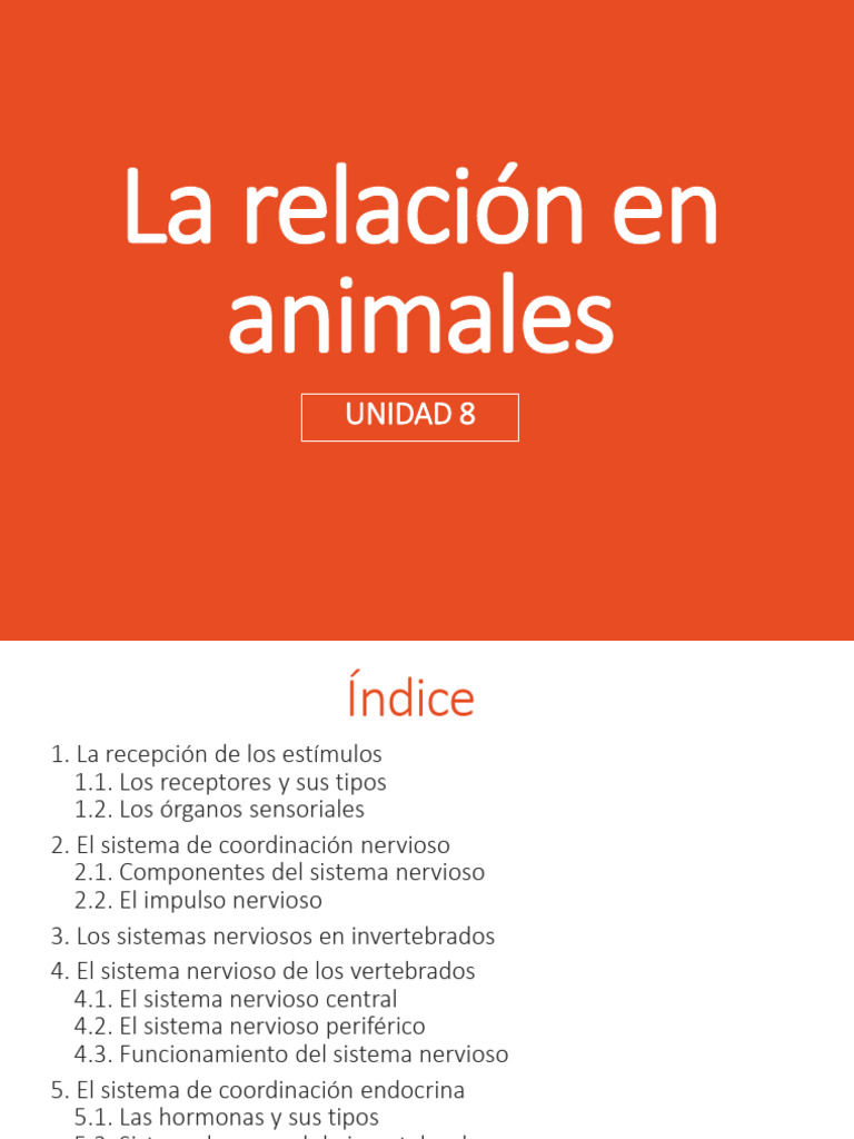 UD8. La Relación en Animales I | PDF | Potencial de acción | Sistema ...