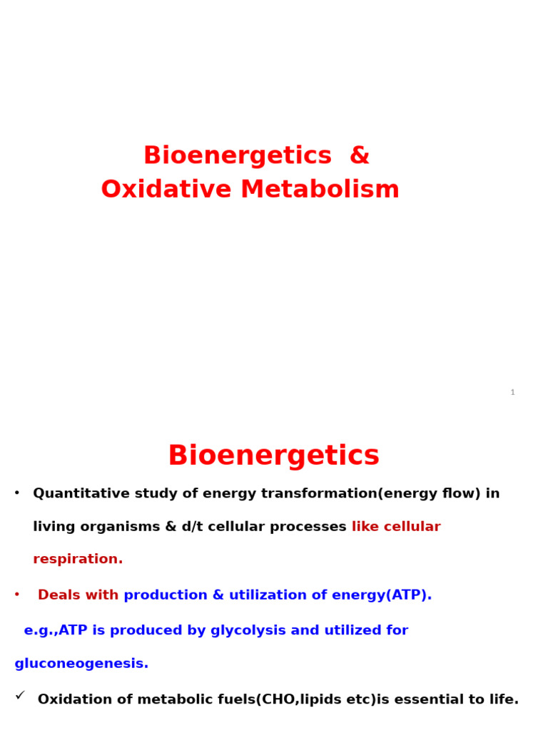 Bioenergetics and Energy Metabolism | PDF | Nicotinamide Adenine ...