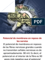 Potencialdemembrana 090410013910 Phpapp01