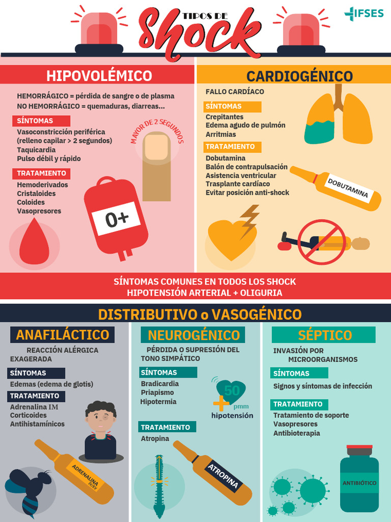 Tratamientos para Reacciones Alérgicas y Shock | PDF | Cardiología ...