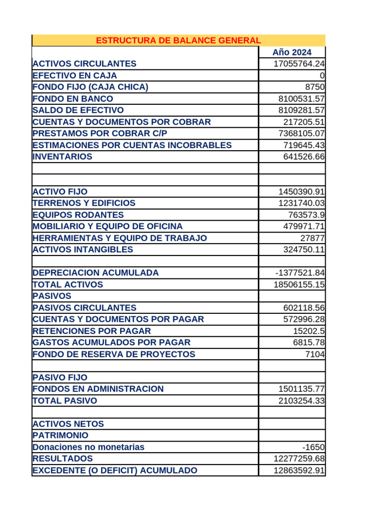 Balance General y Resultados 2024 | PDF