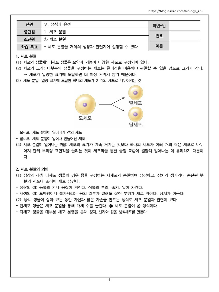 중학교 3 - Ⅴ. 생식과 유전 개념정리 학습지 | PDF