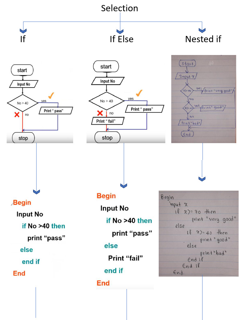 PHP and Python Selection | PDF