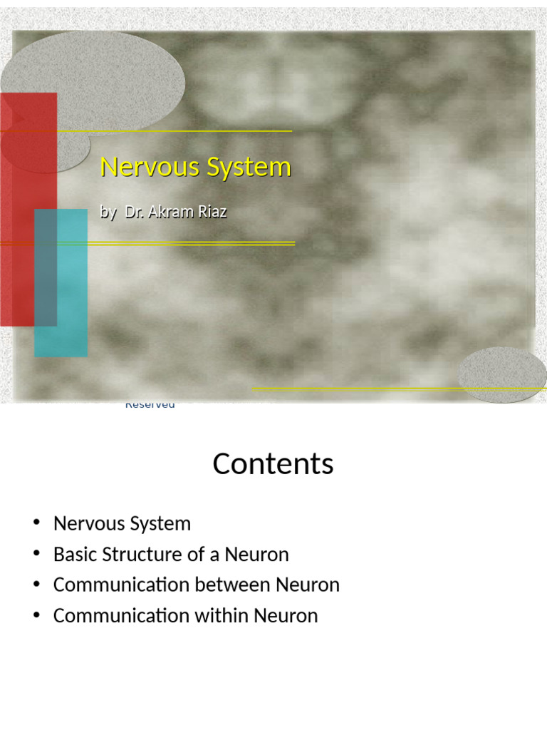 Understanding Neuron Communication | PDF | Chemical Synapse ...