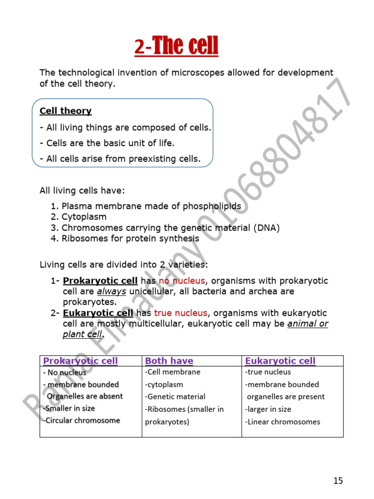 Cell and Cell Transport | PDF | Cell (Biology) | Endoplasmic Reticulum