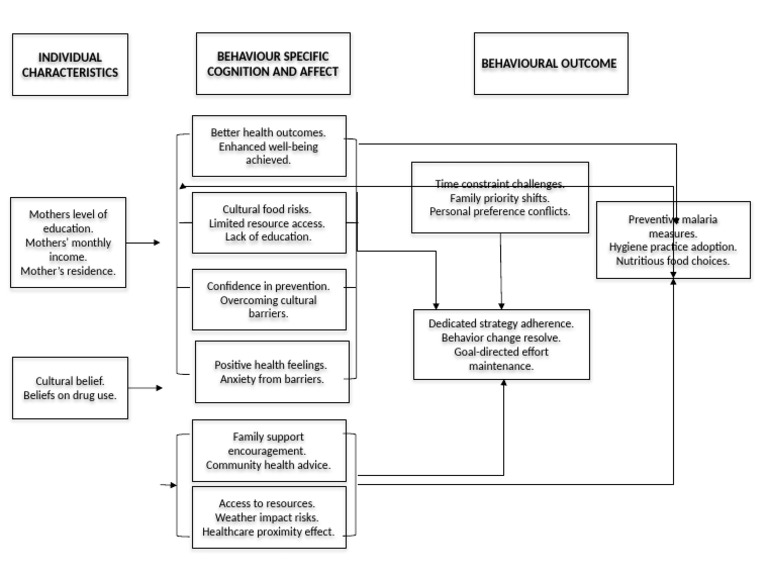 Penders Health Promotion Model Full | PDF