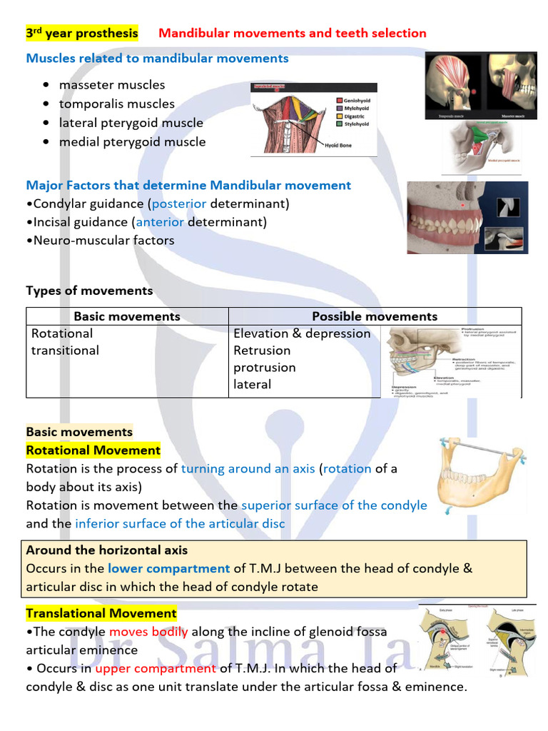 Mandibular Movements | PDF | Dentistry | Dental Anatomy