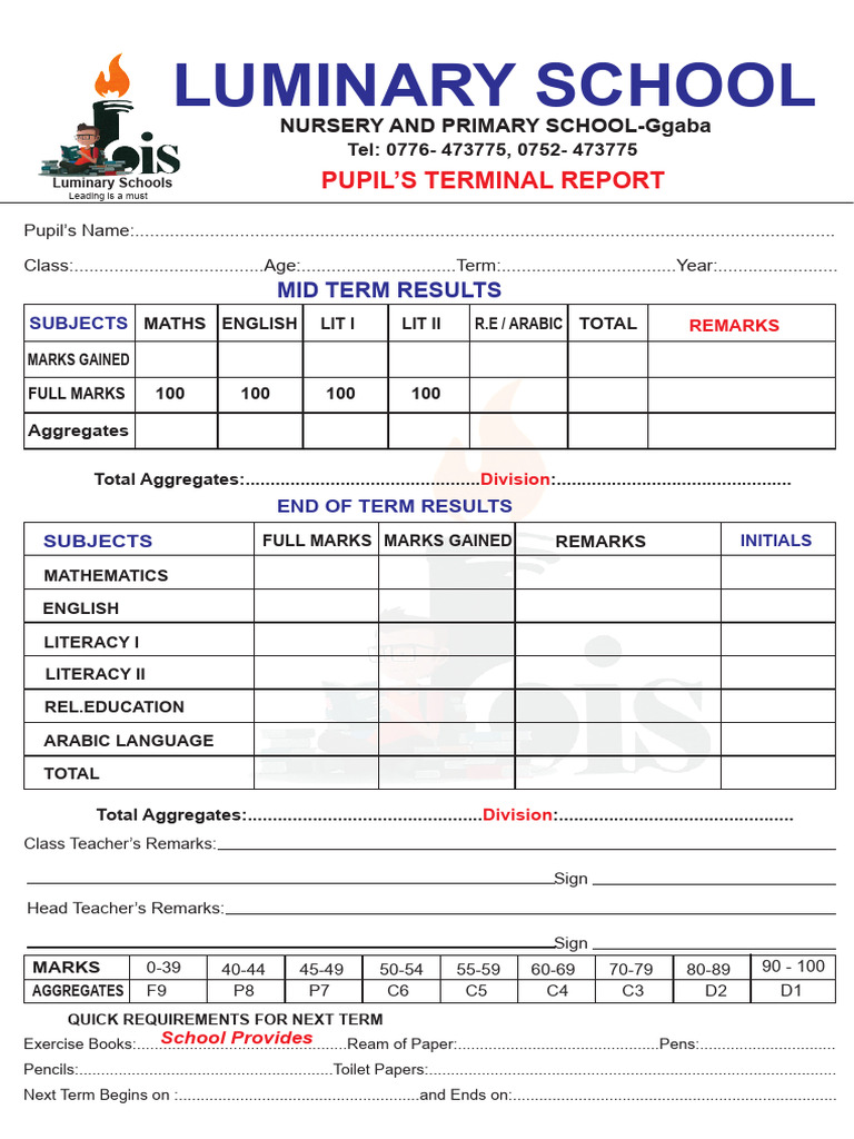 Luminary School Mid-Term Report 2023 | PDF