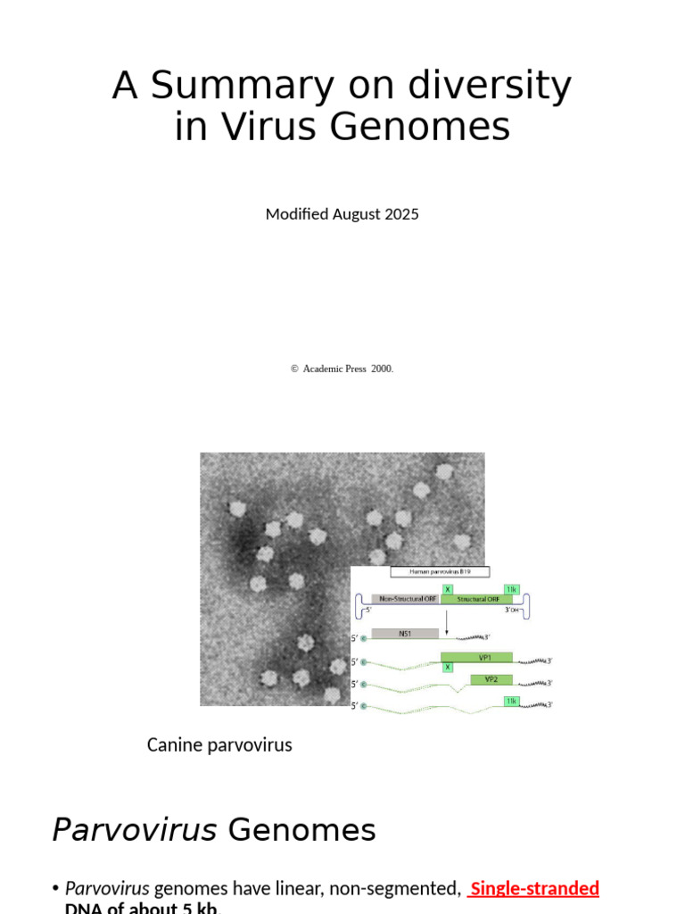Selected Viruses 2302 | PDF | Virus | Sense (Molecular Biology)