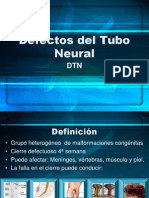 Defectos Del Tubo Neural