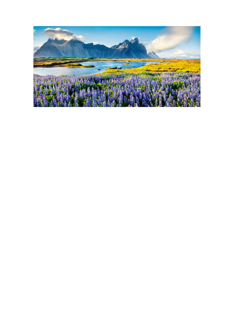70 | PDF