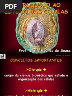 Aula 01_IntroduA§A£o ao estudo da cA©lula