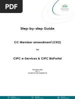 CIPC Email Submission Guidelines | PDF