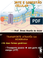 Aula 03_Transporte e digestA£o celular_NOVO