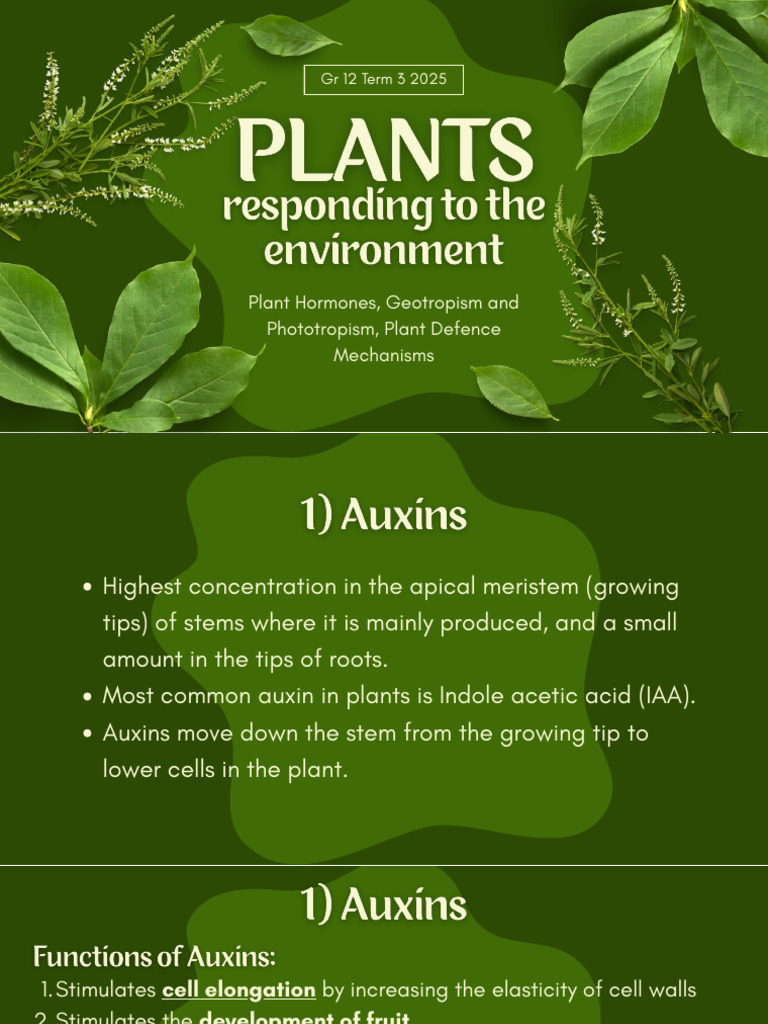 Plant Hormones and Growth Mechanisms | PDF | Auxin | Root