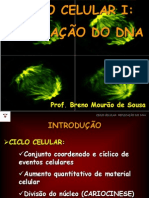 Aula 12_Ciclo Celular I - Replicacao Do DNA