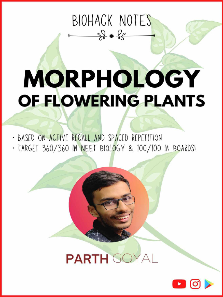 Morphology BioHack | PDF