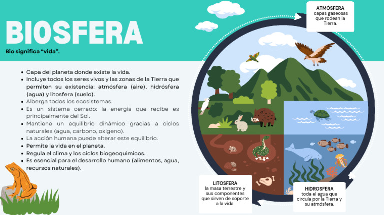 Componentes de la Biosfera y su Importancia | PDF