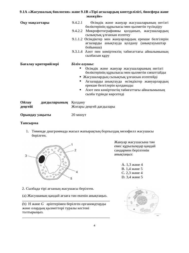 Бірінші адамнан жетілген порно көру