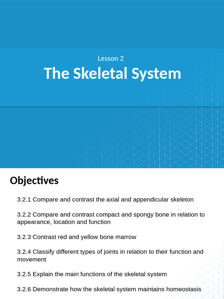 3.2 - Skeletal System G9ADV | PDF | Skeleton | Bone