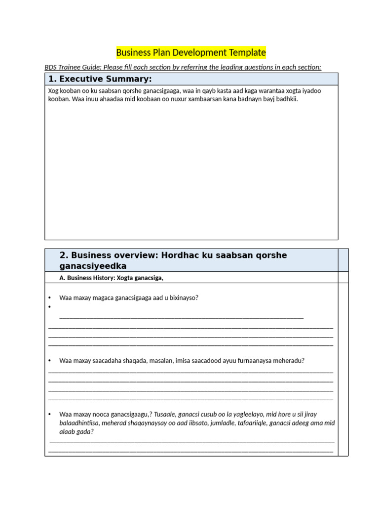 Business Plan Development Guide | PDF