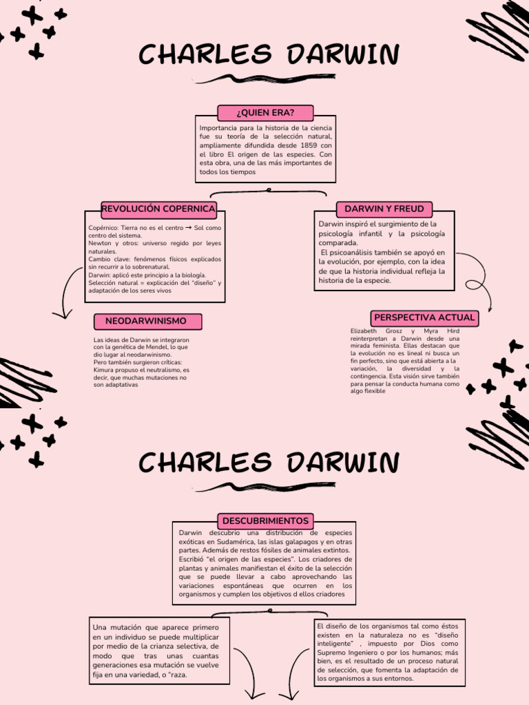 Principios del Darwinismo y Selección Natural | PDF | Charles Darwin ...