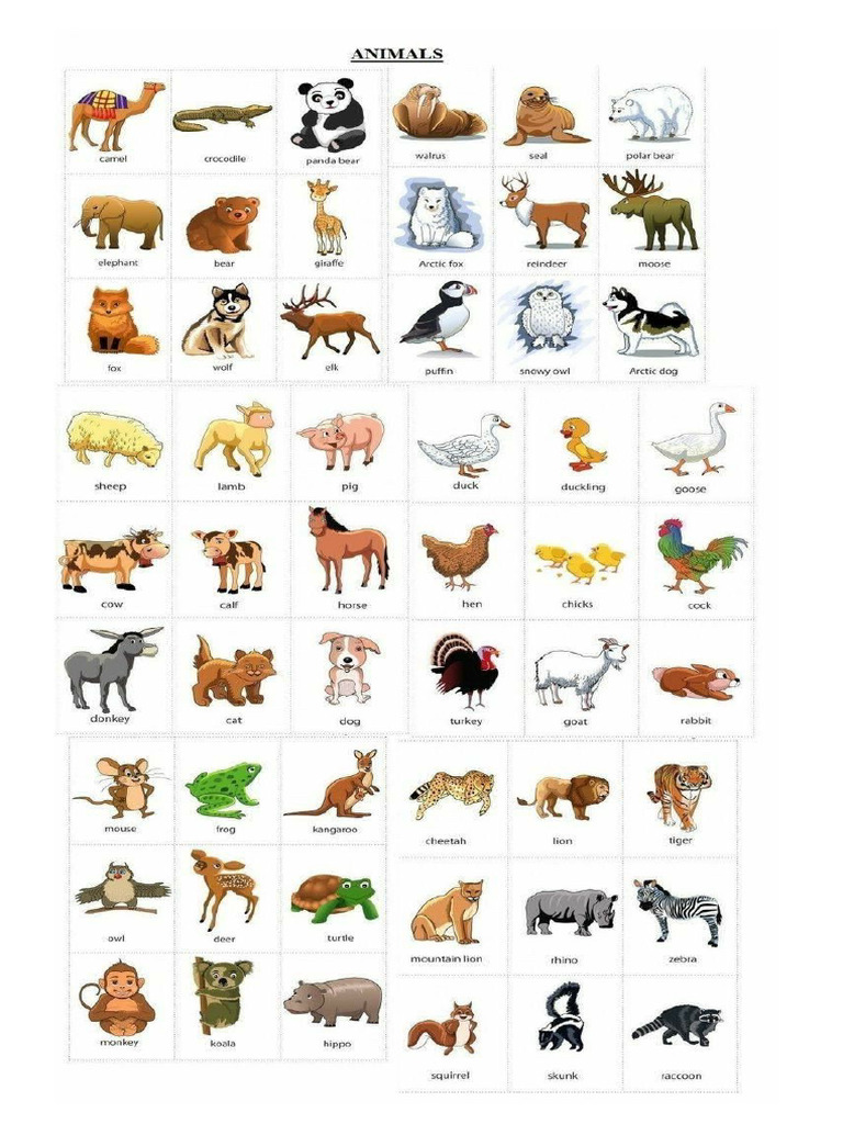 Animals | PDF
