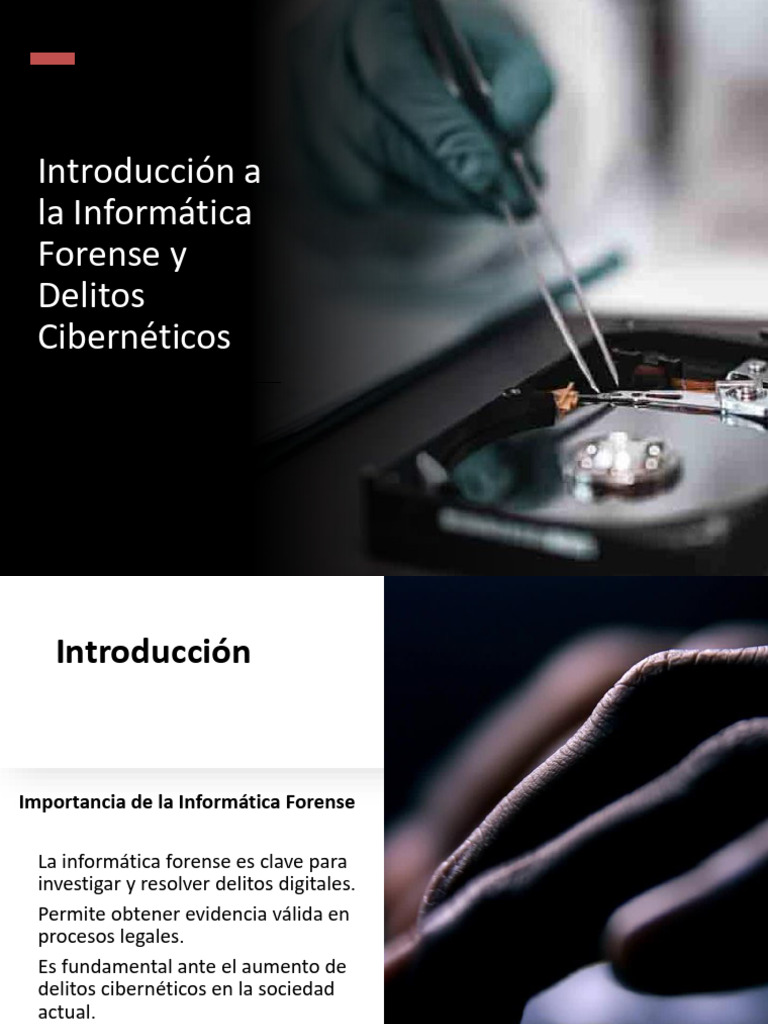 Informática Forense y Delitos Cibernéticos | PDF | Cibercrimen ...