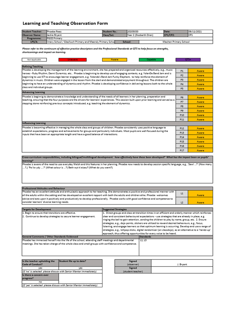(2453-AH) 20205033 Observation Form 09.11.21 | PDF | Learning | Human ...