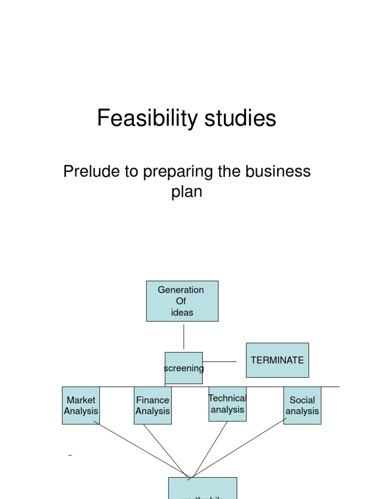 Comprehensive Feasibility Study Guide | PDF