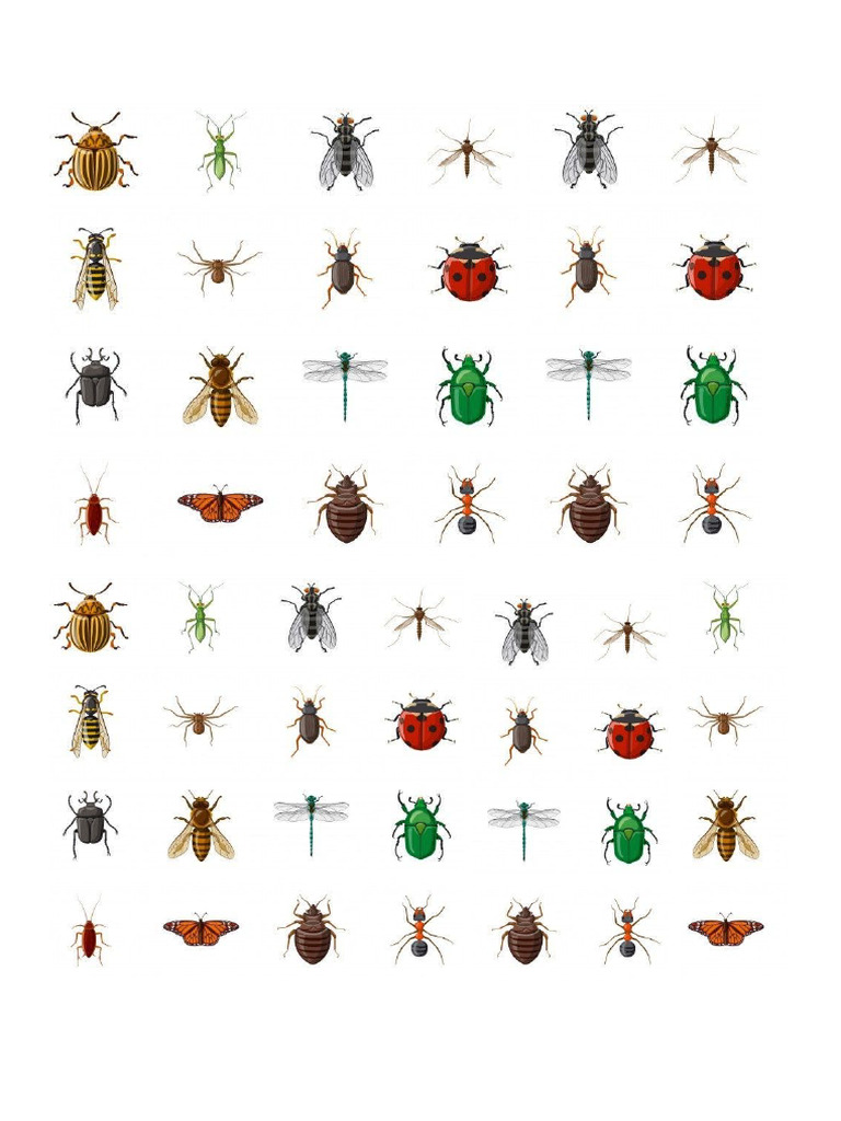 Bichos | PDF