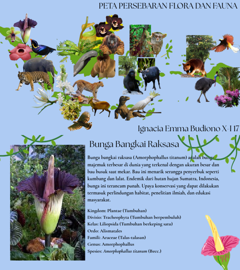 Peta Persebaran Flora Dan Fauna Di Indonesia Pdf