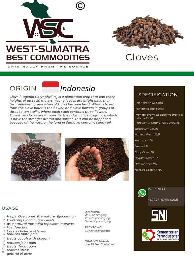 Cloves Catalog 3 | PDF | Clove
