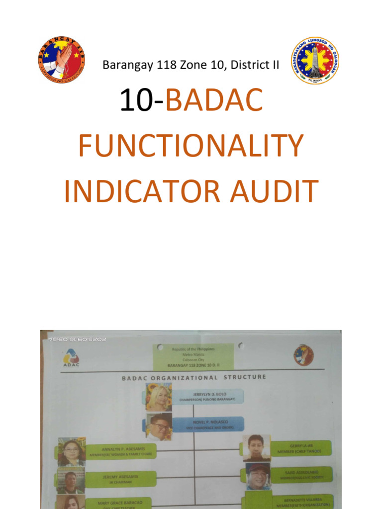 Barangay 118 Zone 10 Badac Funcionality Audit | PDF