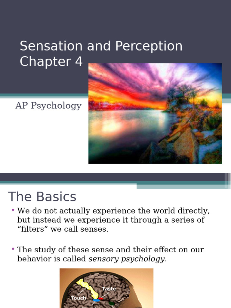 Sensation and Perception in AP Psychology | PDF | Senses | Perception