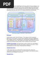 BI Domain