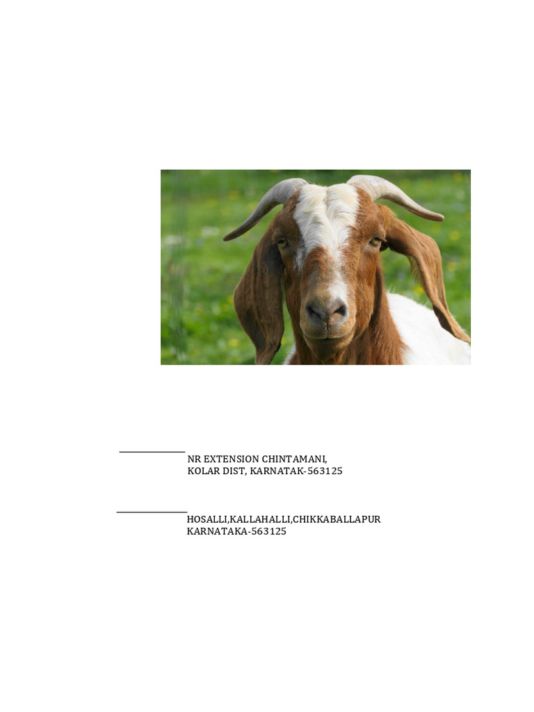 Project Report For Assistance For Establishing 500 + 25 GOAT Breeder ...