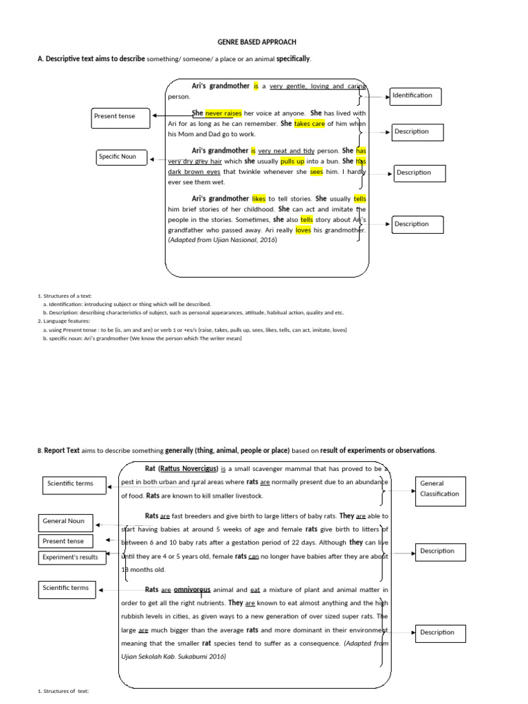 Understanding Descriptive and Report Texts | PDF | Cats | Rat