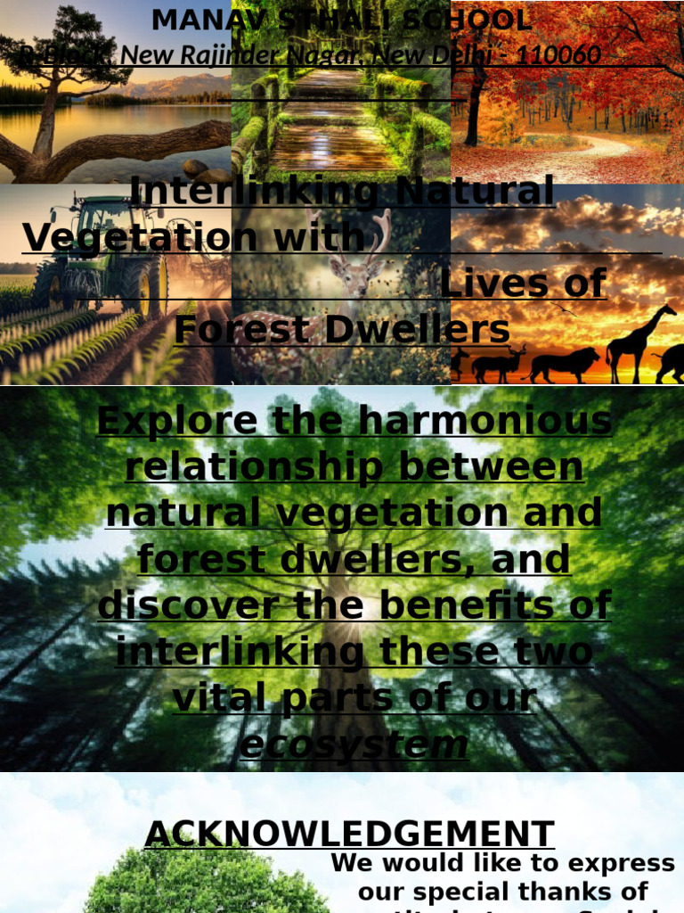 Interlinking Natural Vegetation | PDF | Conservation Biology | Forests