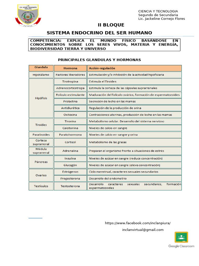 Sistema Endocrino: Glándulas y Hormonas | PDF