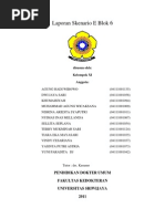Download Laporan Skenario E Blok 6 by Vindy Cesariana SN92062864 doc pdf